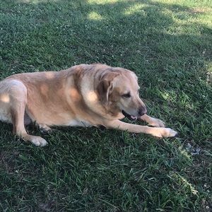 Meet your Posher, Kristin